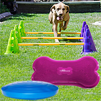 BUNDLE DEAL: Canine Gym Starter Kit